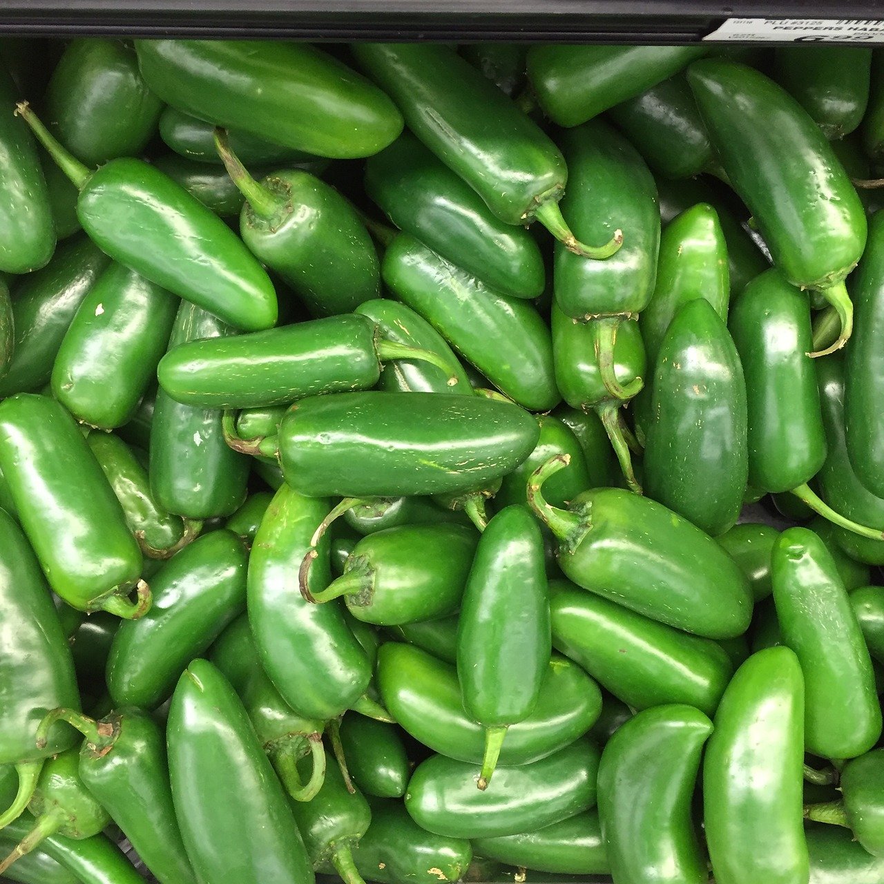 JALAPENO
